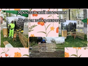 Заборчик-плетень, из ивы своими руками