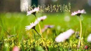 С днем рождения, Людочка!