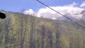 В Красную Поляну с собакой