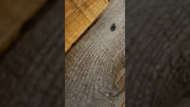 Мой огород смотреть онлайн