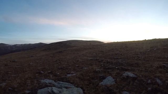 Затерянный мир урочища Чокпартас: волки, медведь, росомаха и каменные истуканы таинственного нагорь смотреть онлайн