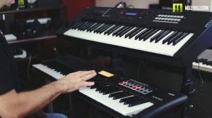 Korg Kross 2 VS Yamaha MX61