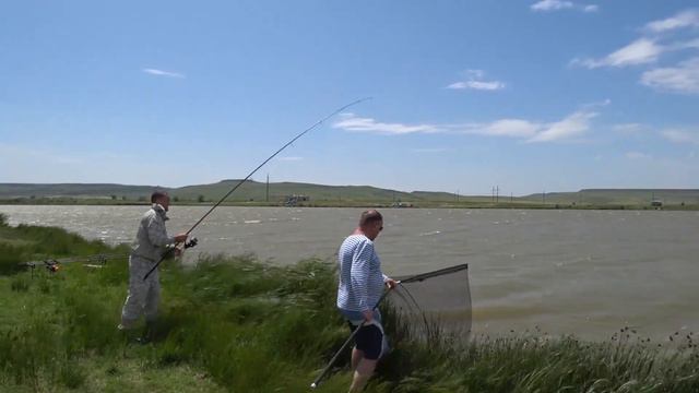 CarpFishing, Открытие Сезона 2019, Просянка-Разлив 25-26.05.2019