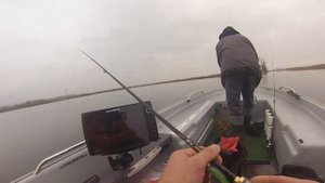 Namierzanie okoni na Humminbird Helix 12 Mega SI - mega skuteczne.