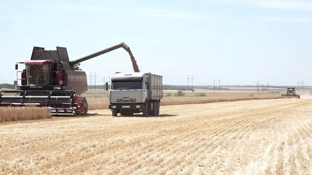 Уборка урожая