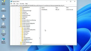 Fix Media Creation Tool Error 0x8007043C-0x90018 in Windows 10 or 11