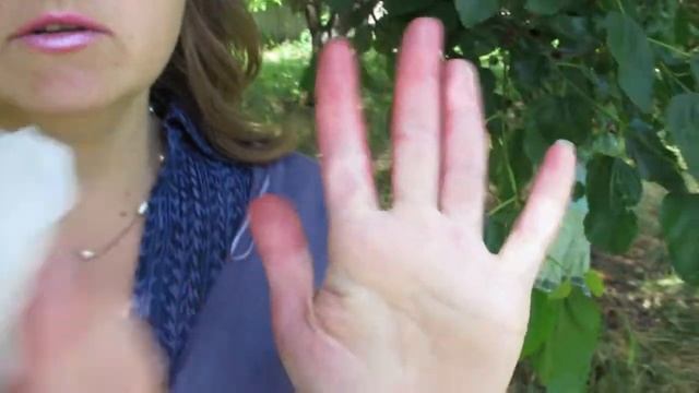 Как быстро очистить руки от шелковицы смотреть онлайн