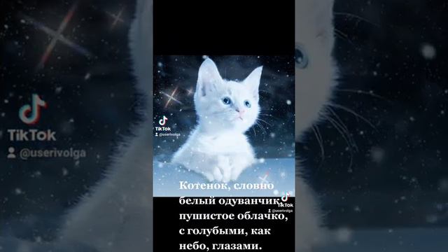 Котёнок, одуванчик и облачко