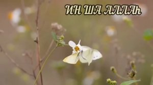 БАЙ БОЛУ ҮШІН ОҚЫЛАТЫН ДҰҒА. ЖОЛ АШУ УШИН ОКЫЛАТЫН  ДУГА #дұға  #құран #сүре