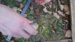 Dewalt DWPVHLD & Dewalt DT71517 / DWARA100