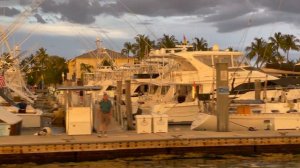 Croisière catamaran soleil couchant | Hakuna Matata | Lake Worth | West Palm Beach | Floride