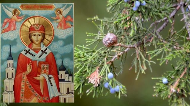 От этой молитвы прозревают не только физически, но обретают прозорливость и видение как жить дальше смотреть онлайн