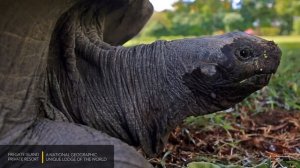 Fregate Island Private | National Geographic Lodges