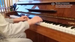 Сколько стоит настройка пианино в Киеве?