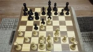 Шахматы. Конь ловит ладью. Правильные ходы против французской защиты. Обучение шахматам