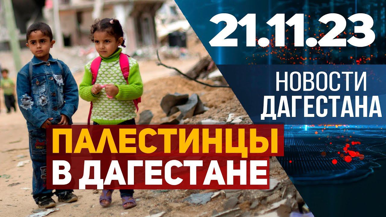 К приему палестинцев готовы! Новости Дагестана за 21.11.2023 год