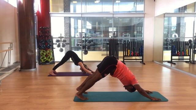 Hatha Yoga 18.05.2020 смотреть онлайн