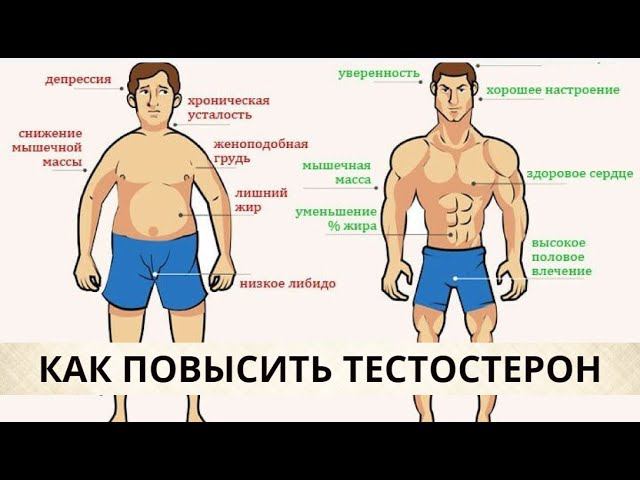 КАК ПОВЫСИТЬ ТЕСТОСТЕРОН