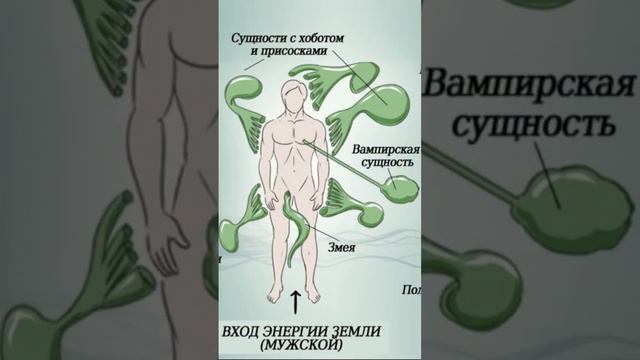 Сущности тонкого плана #сущности #целительдуш #лярвы #энергозаболевания #паразиты #защита