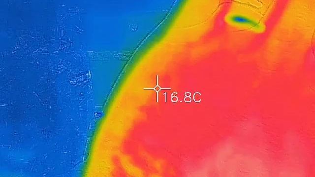 Thermal Imaging Beekeeping Hack? (Flir One) смотреть онлайн