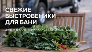 Быстро и правильно собираем свежие веники для бани.