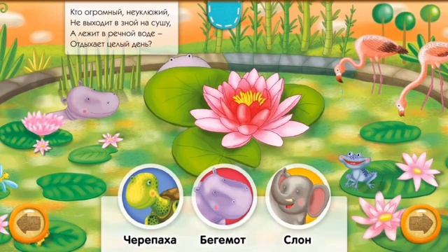 Загадки из Зоопарка. Мультик для детей смотреть онлайн