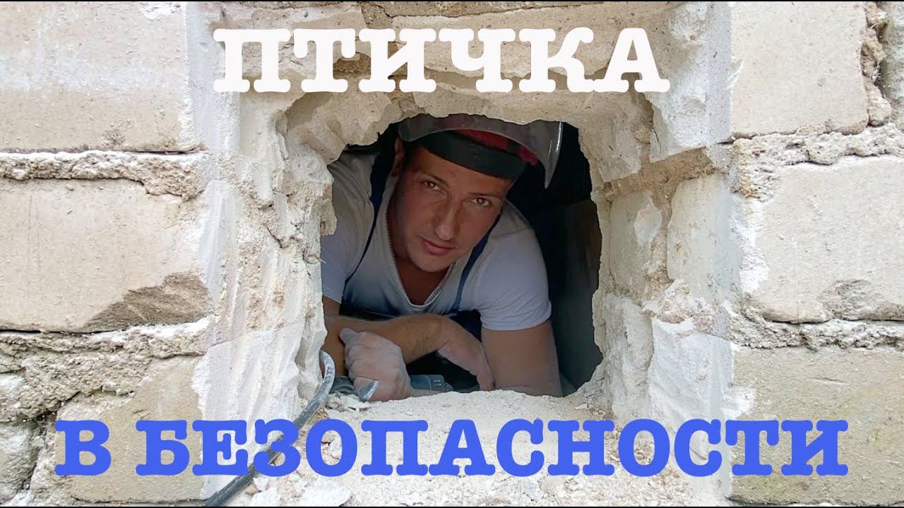 #154. Ежегодная борьба. Условия для нашей птицы. Огород. [Жизнь на своей земле] смотреть онлайн