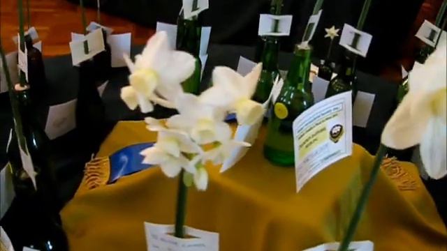 Daffodil, Camellia & Floral Art Show 2011 A смотреть онлайн