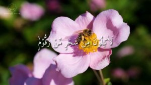 дуа благодарности Аллаху - дуа на каждое утро - дуа для богатства - дуа утромдуа успеха
