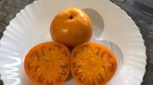 Сорт томата Инжир жёлтый!