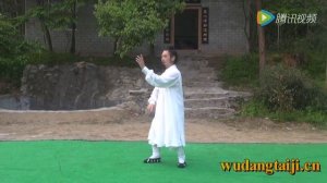 Wudang San Feng Taiji 28 (武当太极二十八势) -  Удан Сань Фэн Тайцзи 28