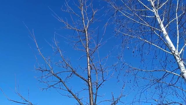 30 марта-АЛЕКСЕЙ ТЕПЛЫЙ.БОЖИЙ ЧЕЛОВЕК.Три напитка для богатства.Не зажигайте огня.Народные приметы смотреть онлайн