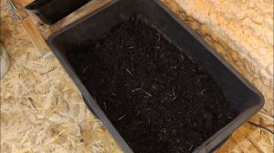 Мой Субстрат Для Червей Как Я Это Делаю