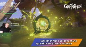 Геншин Импакт ➤ Бледное пламя ➤ Где найти ВСЕ деревья фраваши ➤ Прохождение игры Genshin Impact