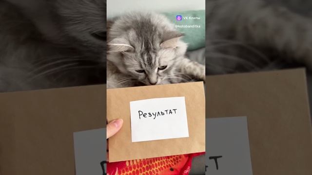 Милота смотреть онлайн