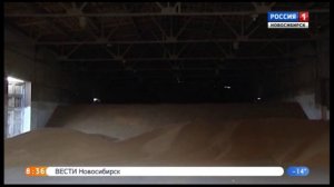 Экпорт зерна_Вести-Новосибирск ГТРК_31.01.19_08.35.mp4