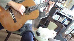 Rosita polka (F.Tarrega)