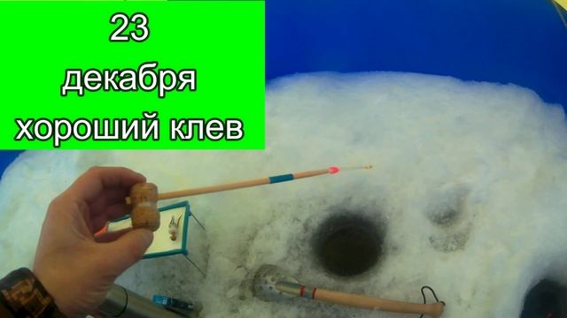 Календарь рыбалки на эту неделю с 20 по 26 Декабря 2021. Прогноз клева рыбы на неделю.