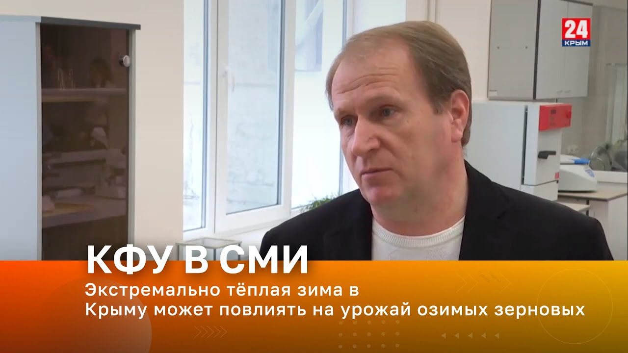 Экстремально тёплая зима в Крыму может повлиять на урожай озимых зерновых