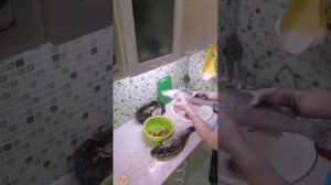 как внусно приготовить рыбу в шарабане