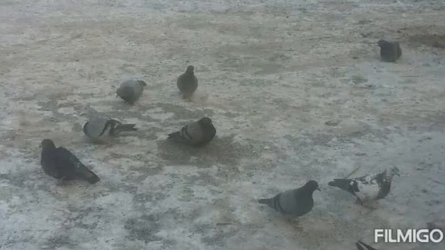 24 января 2021 год город тараз смотреть онлайн