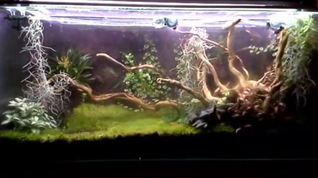 Vivarium