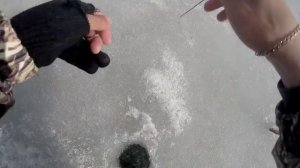 Ловля плотвы на безмотылку. Последний лед