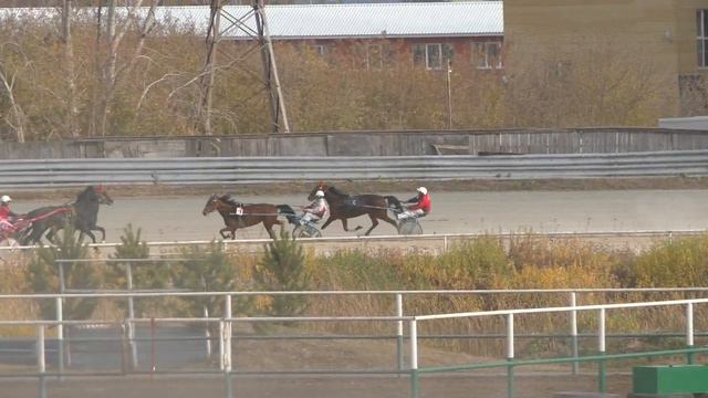 Приз Памяти А.П.Ползуновой, рысаки 2 лет, Тюмень 15.10.2022 смотреть онлайн