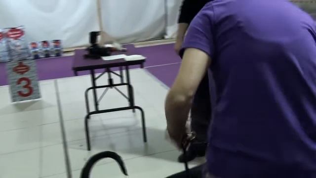 Выставка памяти Ларисы Афониной, 2022 год смотреть онлайн