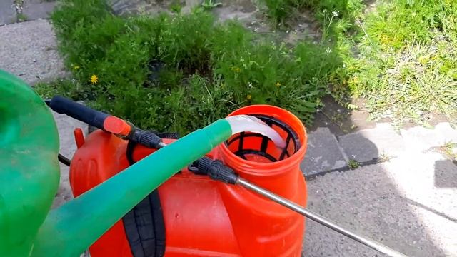 КАК ИЗБАВИТЬСЯ ОТ ТЛИ НА КАЛИНЕ. Удобрение для гортензий. Обработка растений весной.