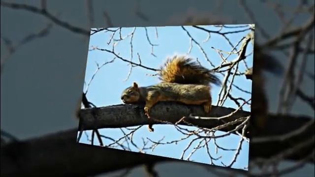 Привет, весна!!! смотреть онлайн