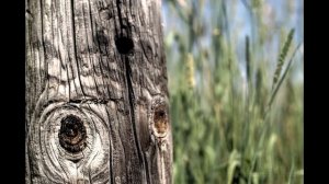 Nikon D3200 W/ 18-55mm Kit Lens Video + Photo's