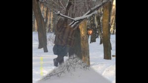 ПАДАЕТ СНЕГ поёт С. Адамо