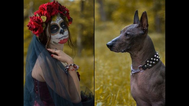 Dia de muertos (День мертвых)